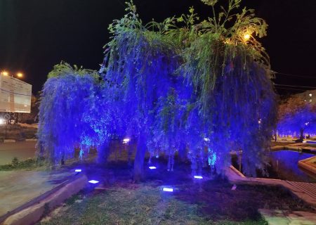 تلاش شهرداری مسجدسلیمان در زیبا سازی فضای پارک ها و میادین شهر + تصاویر