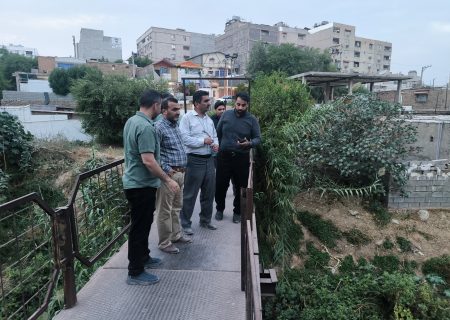 بازدید میدانی شهردار مسجدسلیمان از نقاط بحرانی شهر