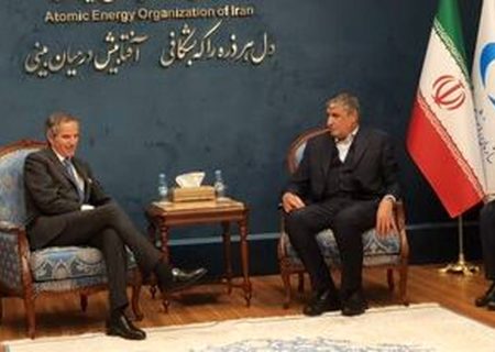 آغاز دور نخست مذاکرات مدیرکل آژانس بین‌المللی انرژی اتمی با «محمد اسلامی»/ ویدئو
