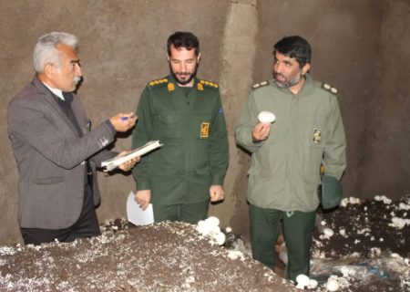 افتتاح کارگاه پرورش قارچ با حمایت بسیج سازندگی مسجدسلیمان