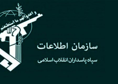 بازگشت ۵۶۰ میلیون دلار ارز به کشور «با تلاش سازمان اطلاعات سپاه»
