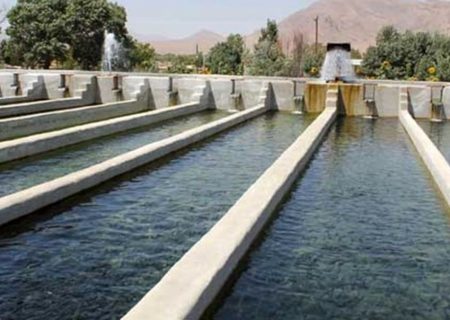 تعطیلی بزرگترین سایت پرورش ماهیان سردآبی کشور در اندیمشک/ وقتی مدیران‌ محلی مانع اشتغال می‌شوند