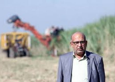 دکتر ناصری پژوهشگر برگزیده خوزستان شد