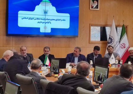 رییس کمیسیون اقتصادی: مجلس دیگر نقش تقنینی در فرآیند پیگیری FATF ندارد