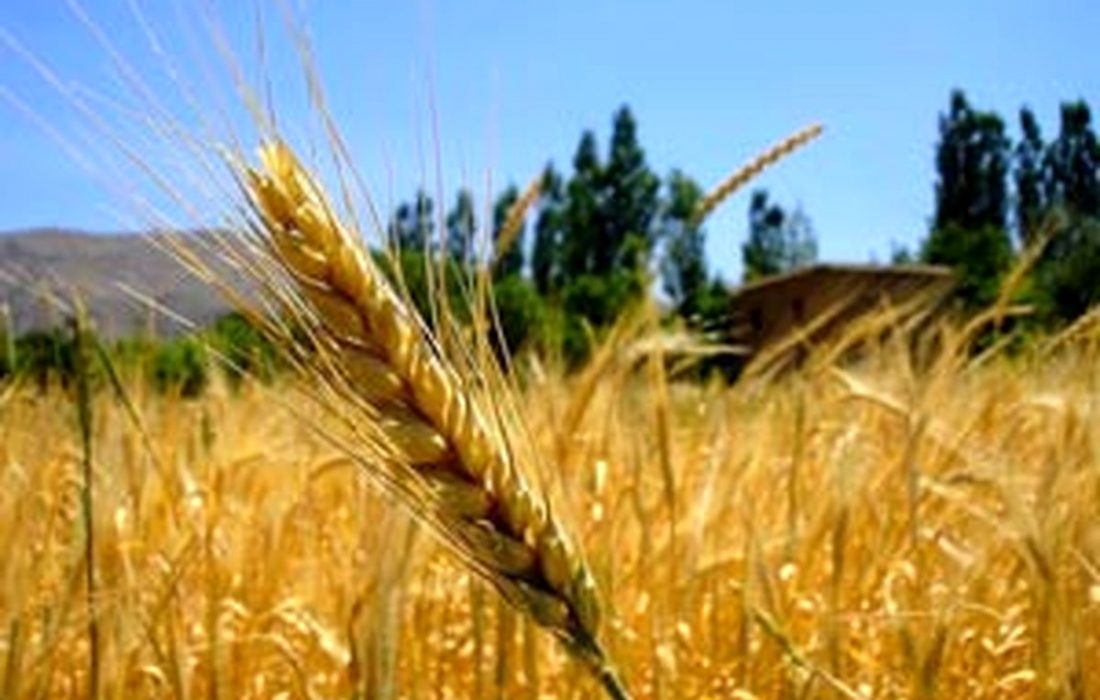 سنگ تمام جهاد کشاورزی خوزستان برای مردم/ خوزستان دیار نخل و بلوط است، سرزمین آب و آیینه و آفتاب